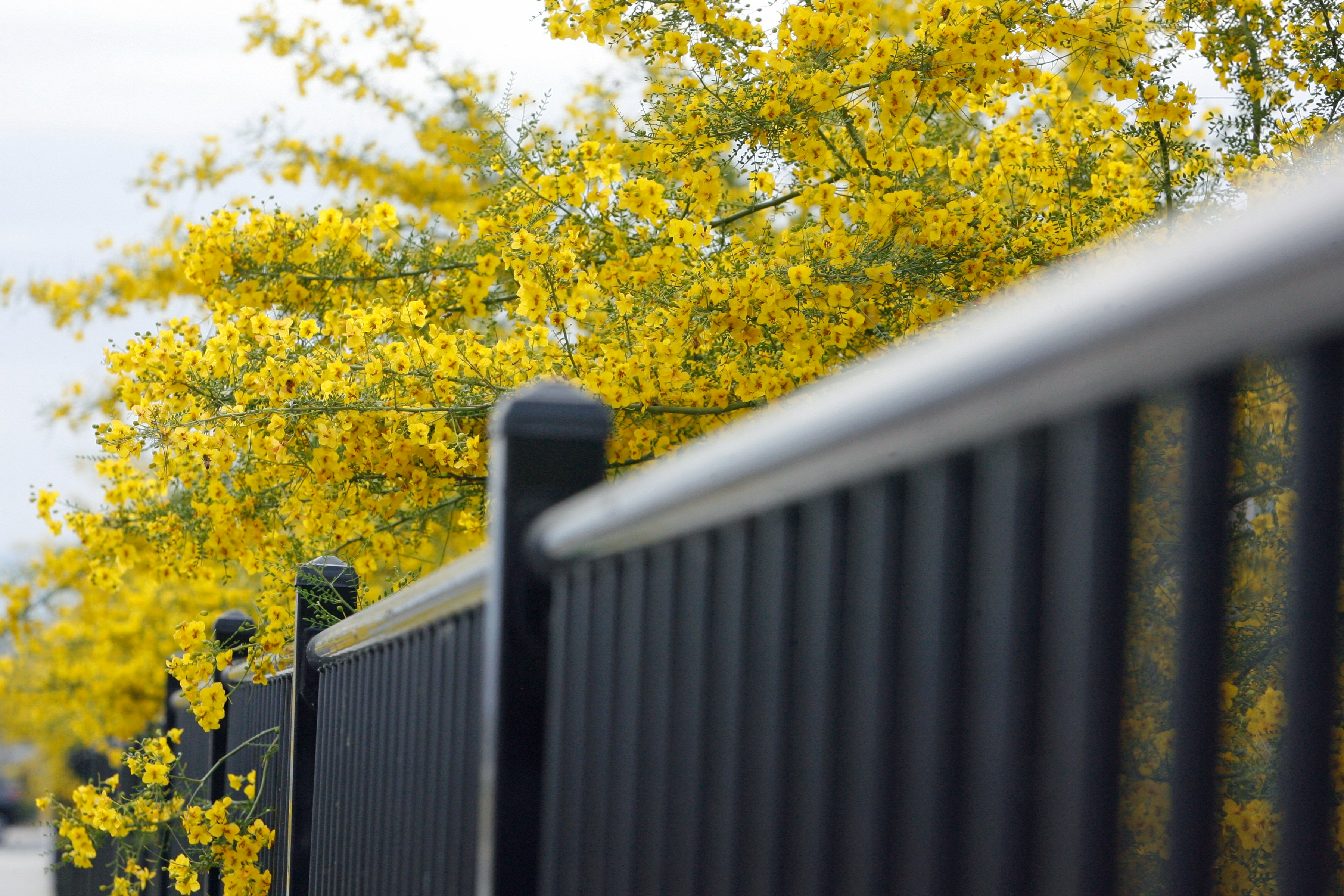 Aluminium slat fencing