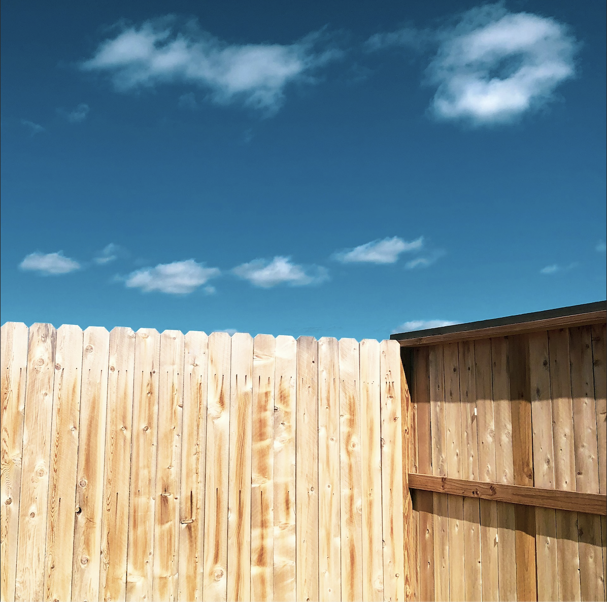 Timber fencing and gates